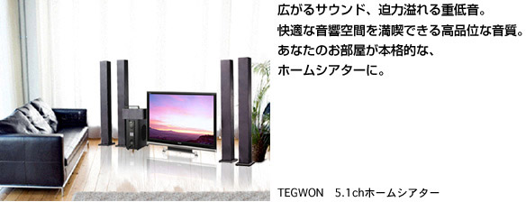 AiO5.1bg z[VA^[VXe TEGWON TG-201BK 